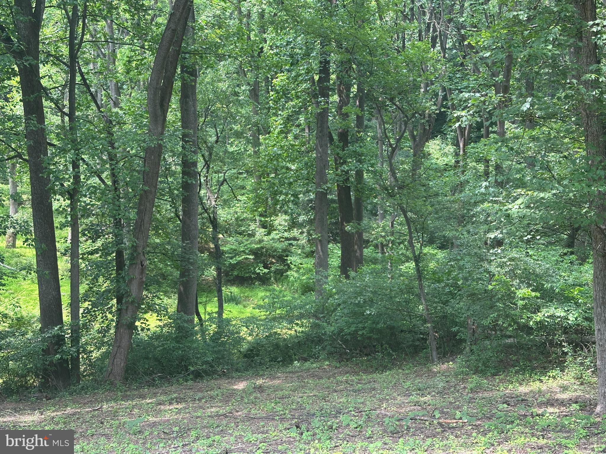 1418 Gallagherville Road Downingtown, PA 19335 - Photo 21 of 21 a view of a forest with trees