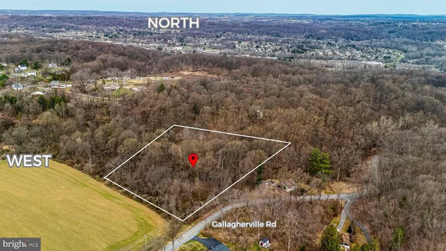 a view of a yard with trees