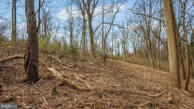a view of a large yard with lots of green space