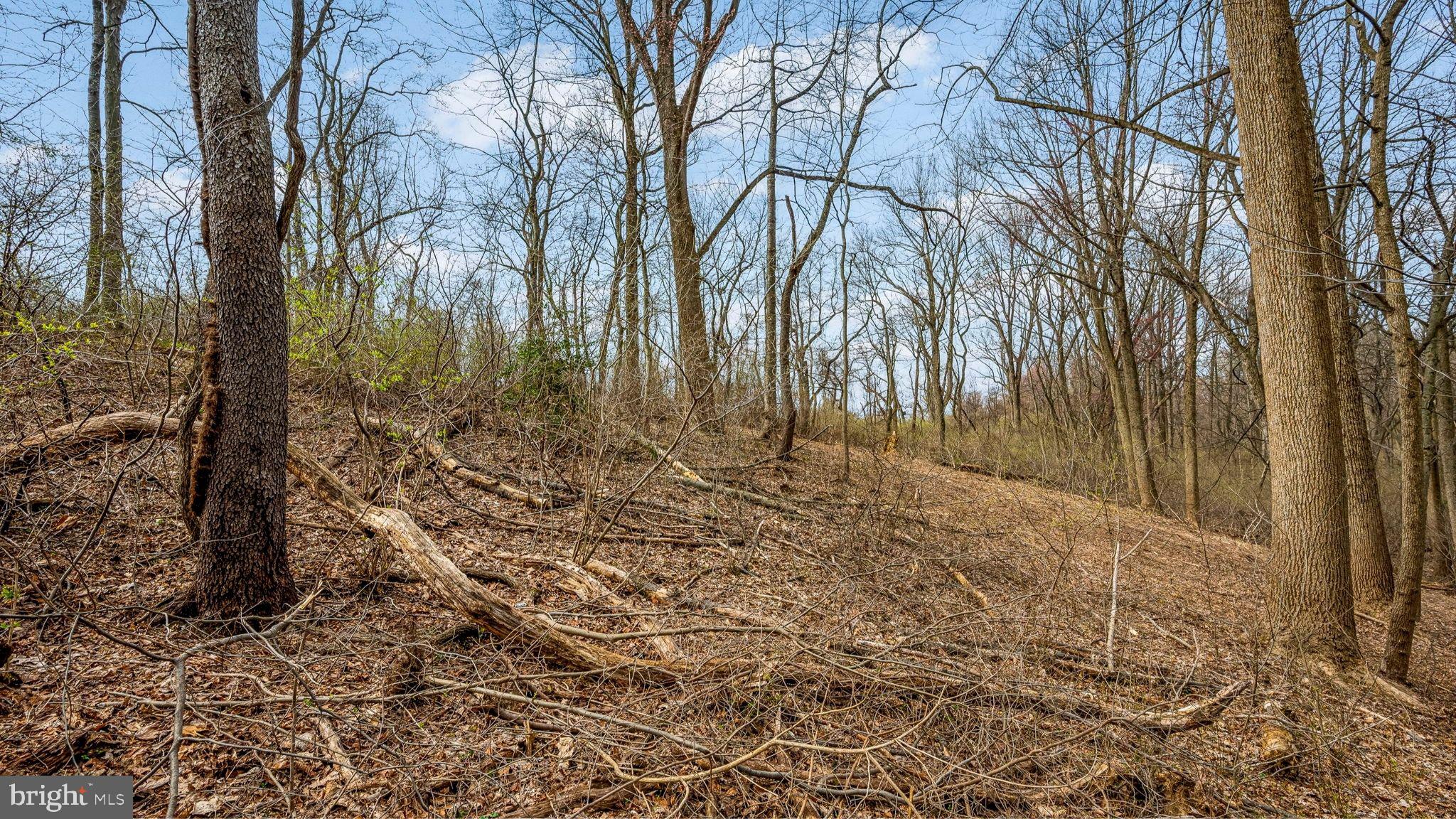 1418 Gallagherville Road Downingtown, PA 19335 - Photo 5 of 21 a view of a yard with trees
