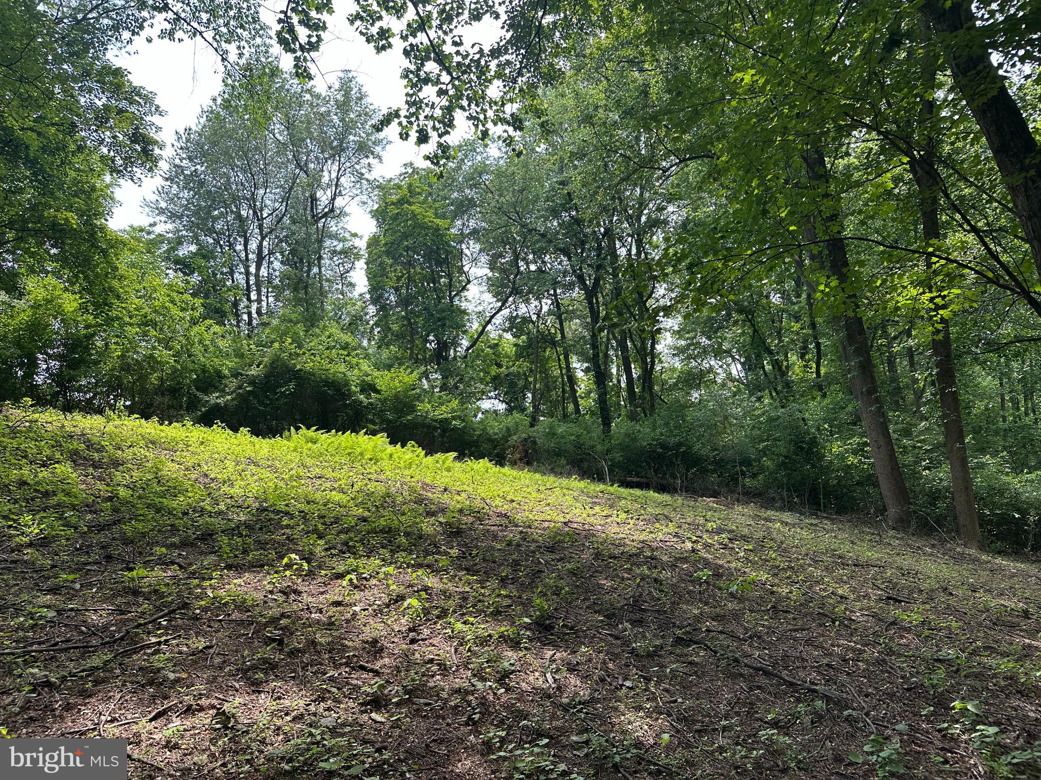 1418 Gallagherville Road Downingtown, PA 19335 - Photo 7 of 21 a view of a large yard with lots of green space