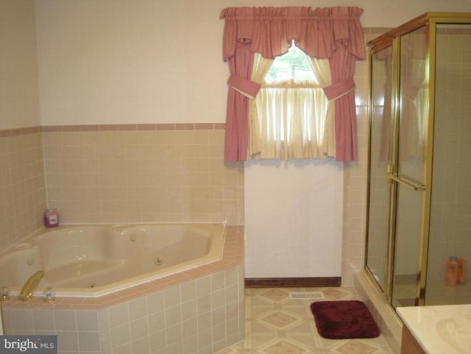 890 Siler Road Winchester, VA 22603 - Photo 8 of 10 Master Bath