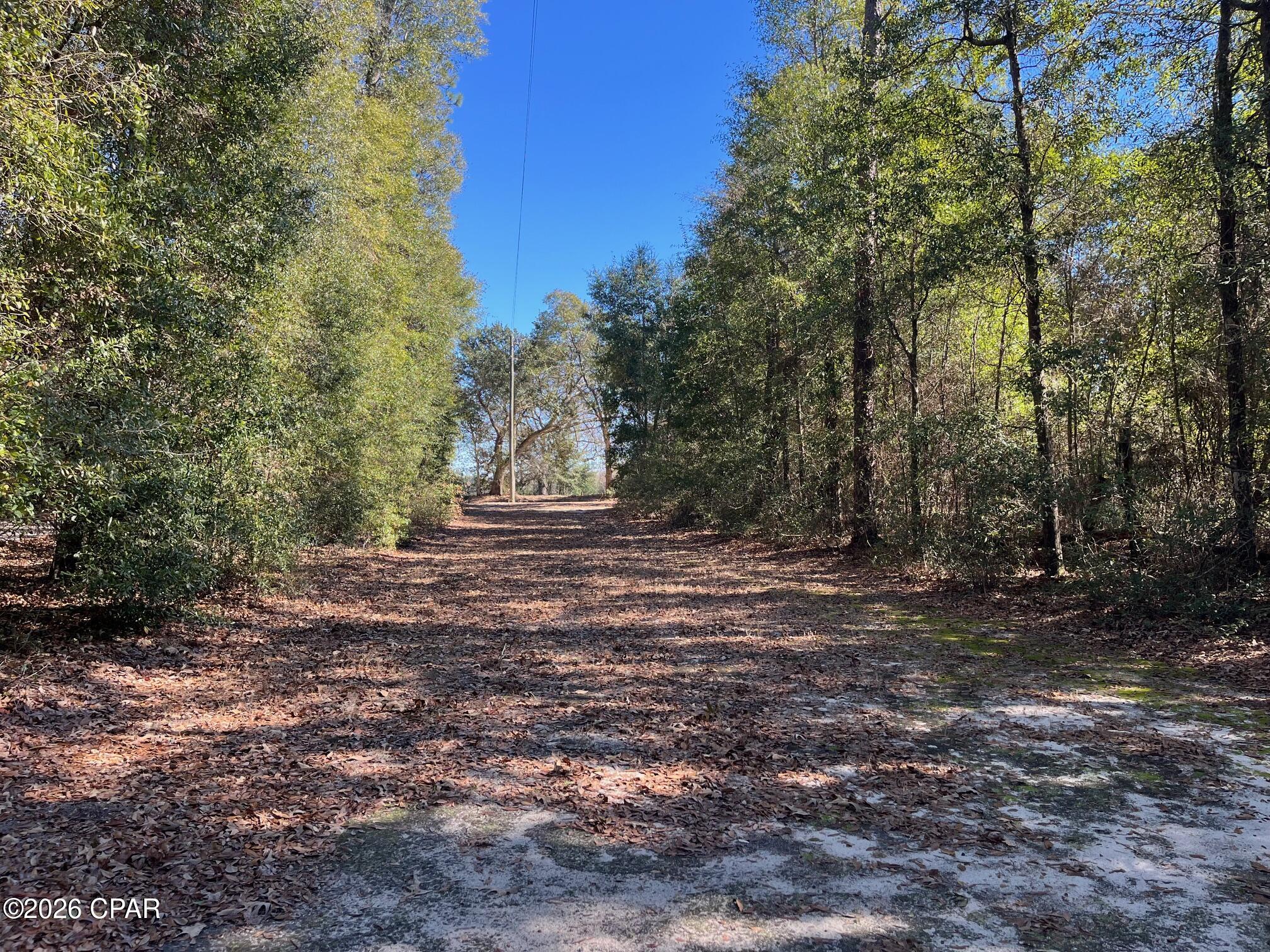 5894 Jasper Road Bascom, FL 32423 - Photo 51 of 53