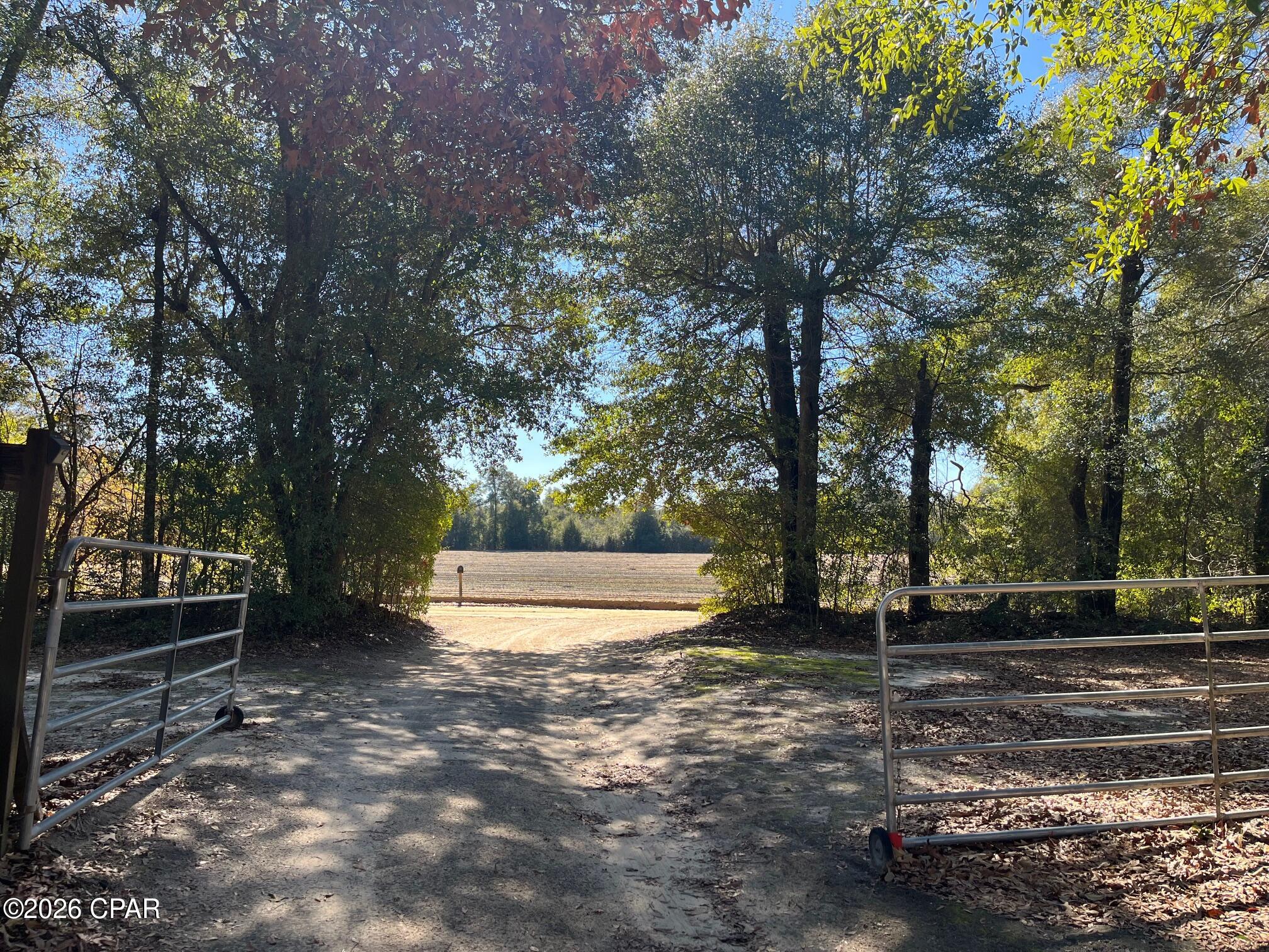 5894 Jasper Road Bascom, FL 32423 - Photo 52 of 53