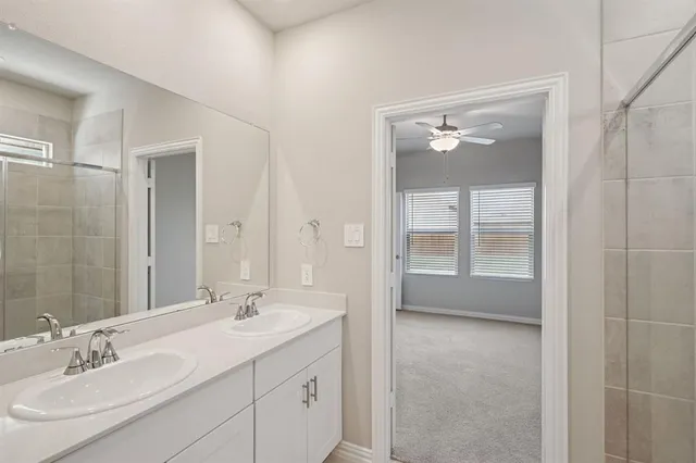 a bathroom with a sink a shower and a mirror