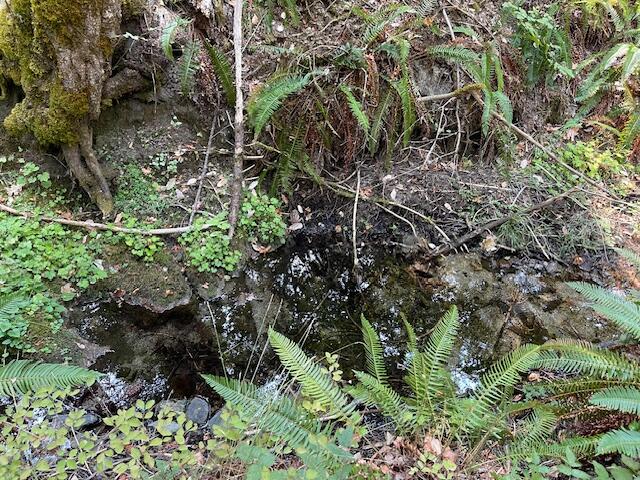 6392 Pleasant Creek Road Rogue River, OR 97537 - Photo 9 of 19 IMG_6836
