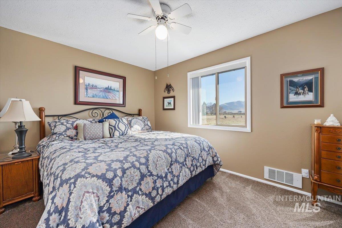 411 Mountain View Lane Burley, ID 83318 - Photo 21 of 38 Bedroom featuring carpet floors, a textured ceiling, and a ceiling fan