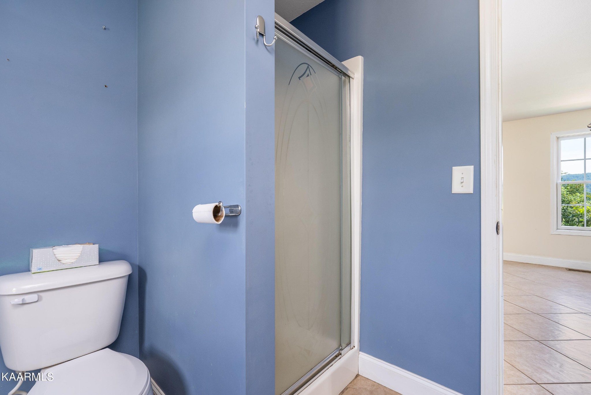 212 George Bowers Road Elizabethton, TN 37643 - Photo 38 of 49 a bathroom with a toilet