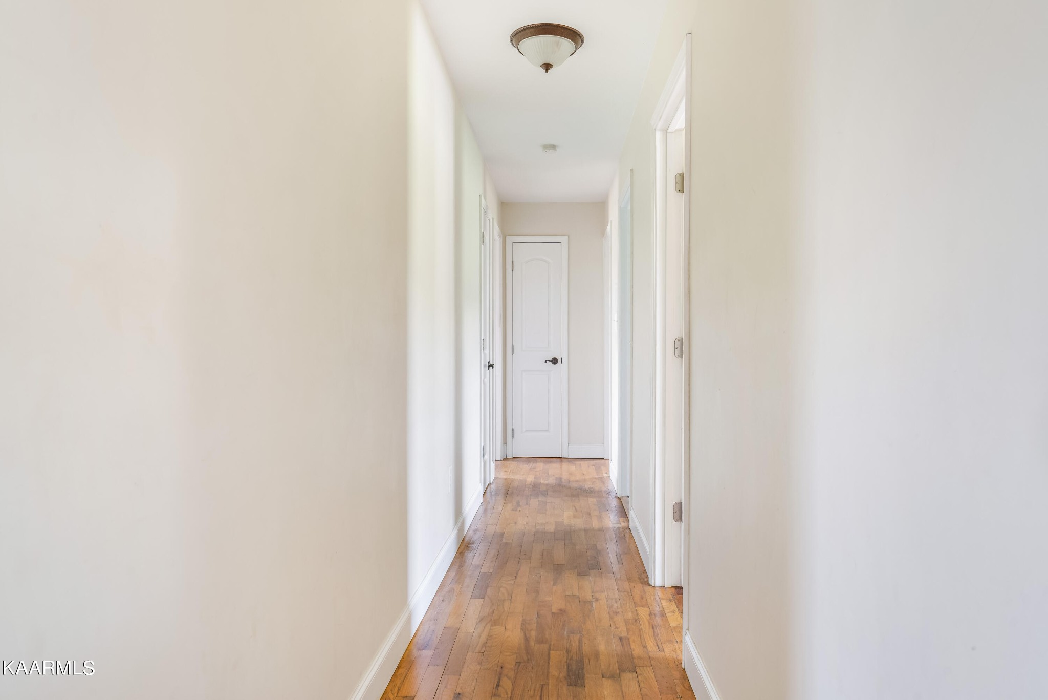 212 George Bowers Road Elizabethton, TN 37643 - Photo 39 of 49 a view of a hallway with wooden floor