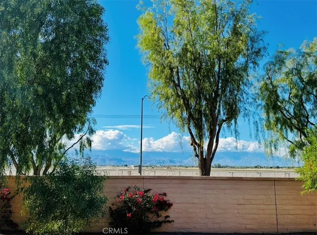 a view of a garden with a tree