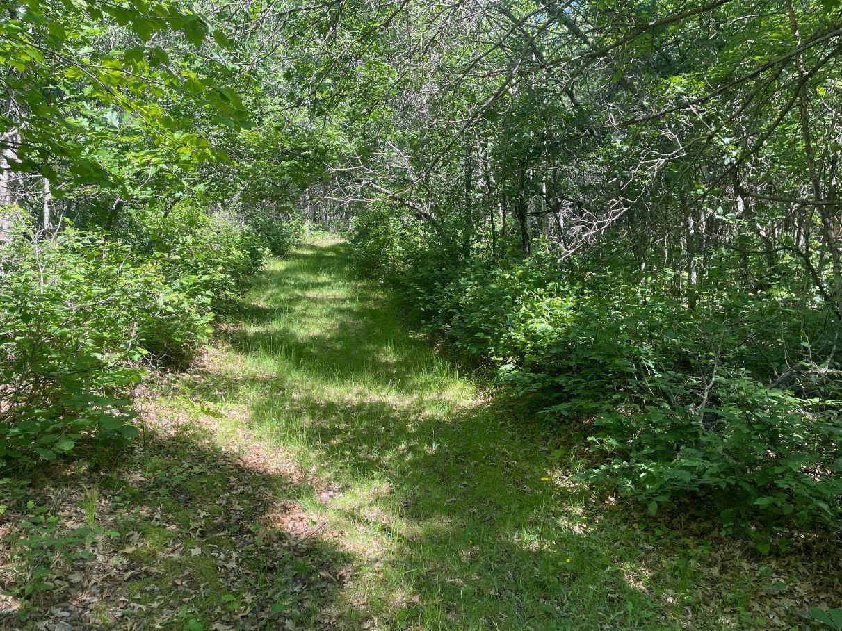 12997 East Mail Road Gordon, WI 54838 - Photo 46 of 65