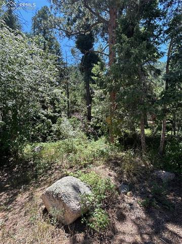 9465 Ute Road Cascade, CO 80809 - Photo 1 of 5
