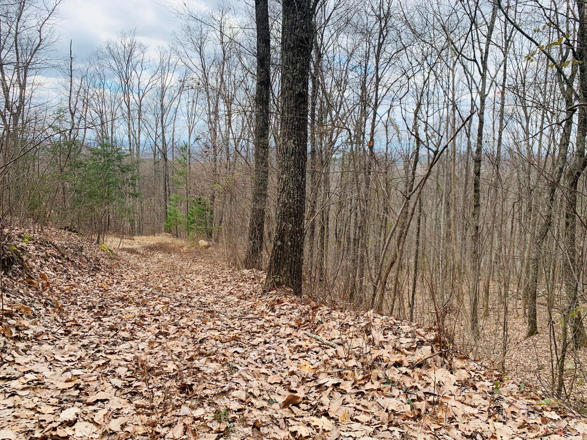 Lot #85 Chilly Springs Road Maryville, TN 37803 - Photo 14 of 16 Photo 14