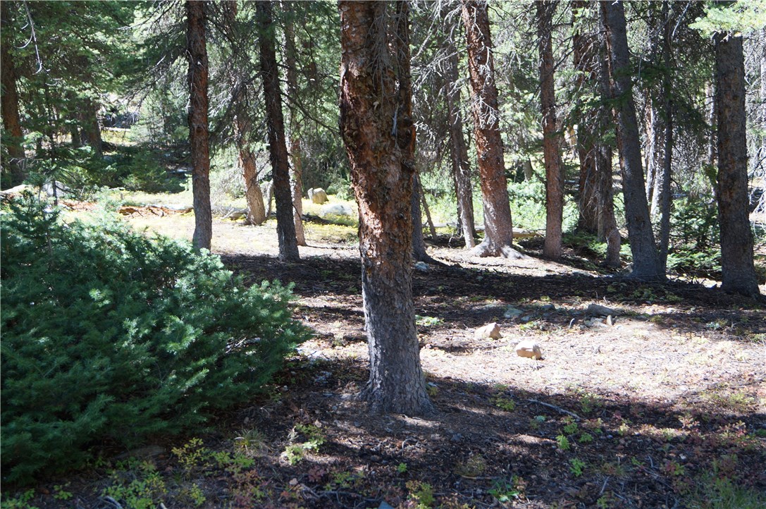 7000 Montezuma Road Dillon, CO 80435 - Photo 7 of 13 Gallery Image 7