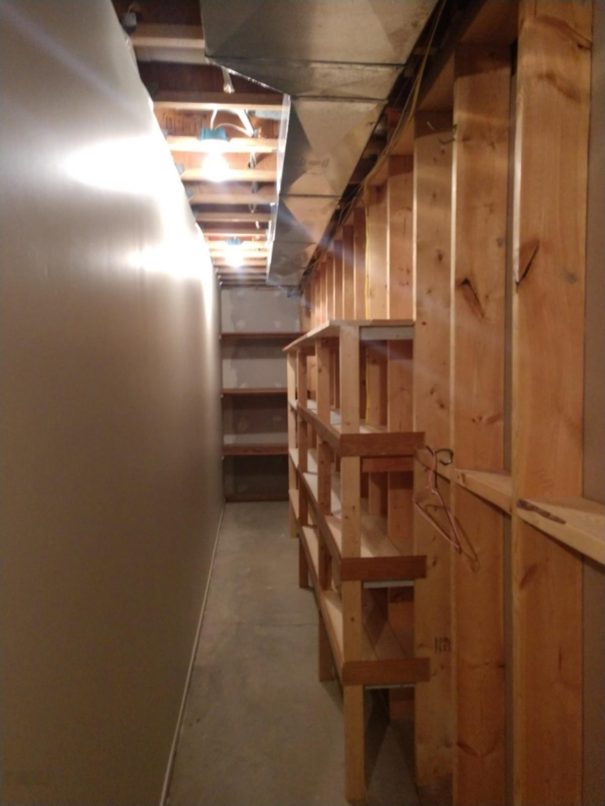 787 Jackson Road Blanchard, MI 49310 - Photo 13 of 16 storage