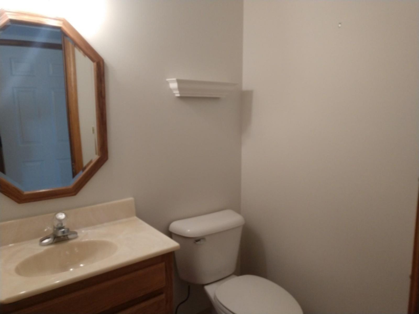 787 Jackson Road Blanchard, MI 49310 - Photo 8 of 16 guestbath