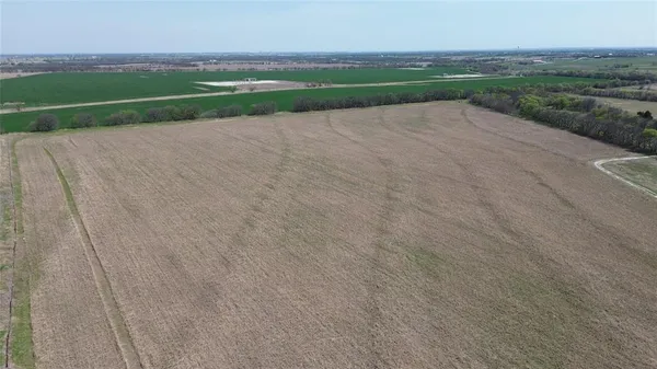 a view of a field with a big yard