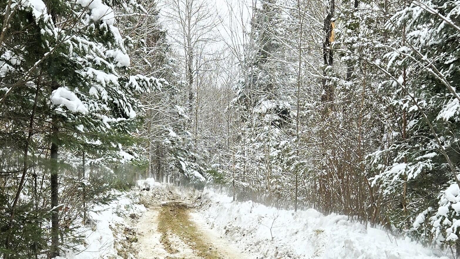 57.6 Webber Road Crystal, ME 04747 - Photo 12 of 16 20240202_114219