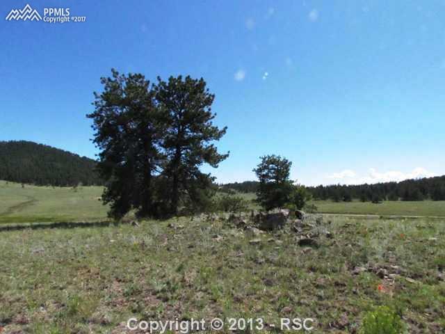1360 Julia Road Guffey, CO 80820 - Photo 18 of 18