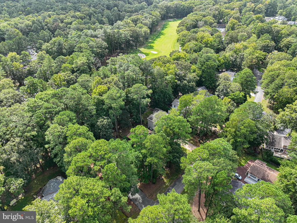 74 Battersea Road Ocean Pines, MD 21811 - Photo 60 of 75 Gallery Image 60
