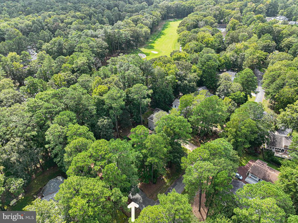 74 Battersea Road Ocean Pines, MD 21811 - Photo 61 of 75 Gallery Image 61