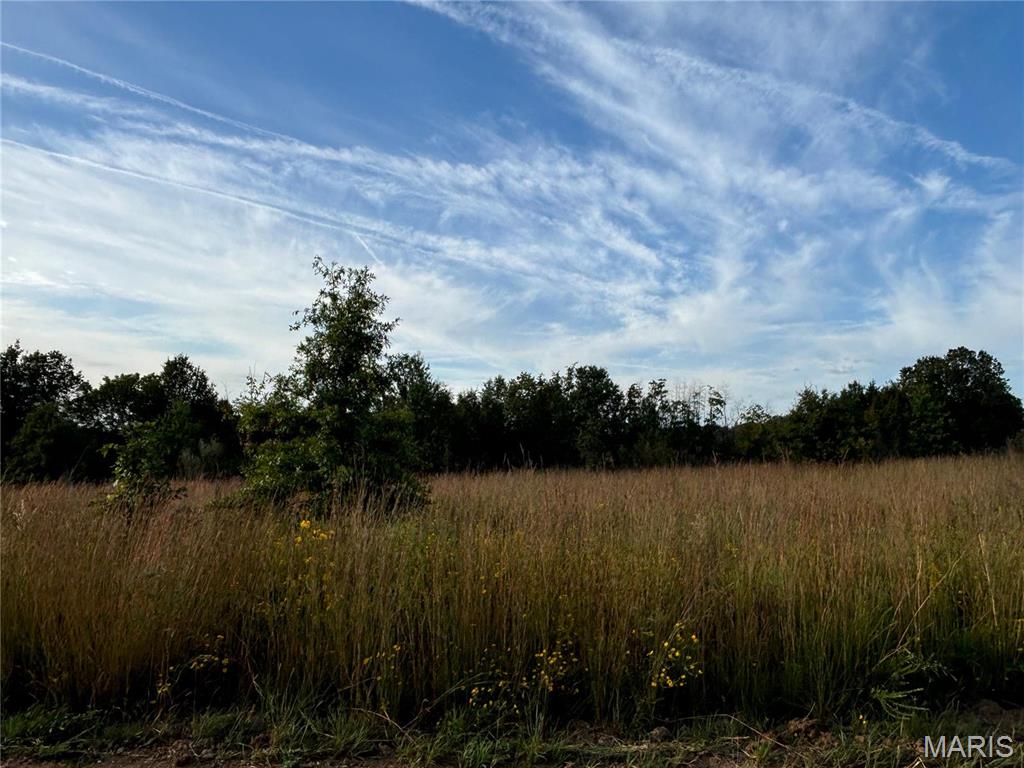 19 Halyon Road Perry, MO 63462 - Photo 2 of 11