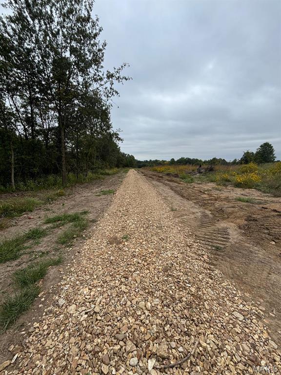 19 Halyon Road Perry, MO 63462 - Photo 4 of 11