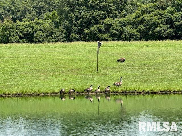 14290 East Windsong Road Mount Vernon, IL 62864 - Photo 15 of 21