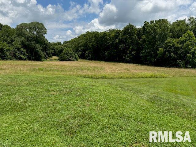 14290 East Windsong Road Mount Vernon, IL 62864 - Photo 16 of 21