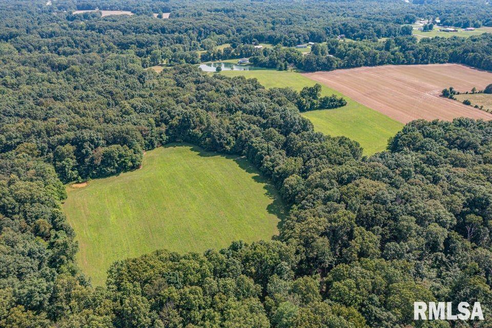 14290 East Windsong Road Mount Vernon, IL 62864 - Photo 5 of 21