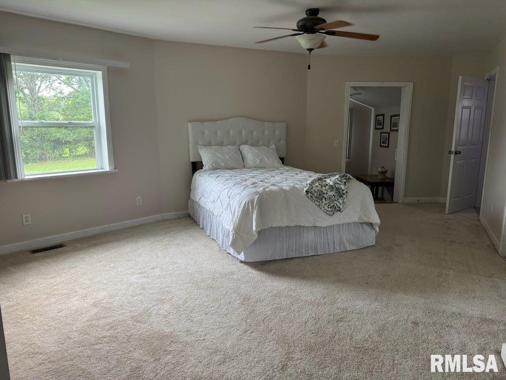 14290 East Windsong Road Mount Vernon, IL 62864 - Photo 8 of 21