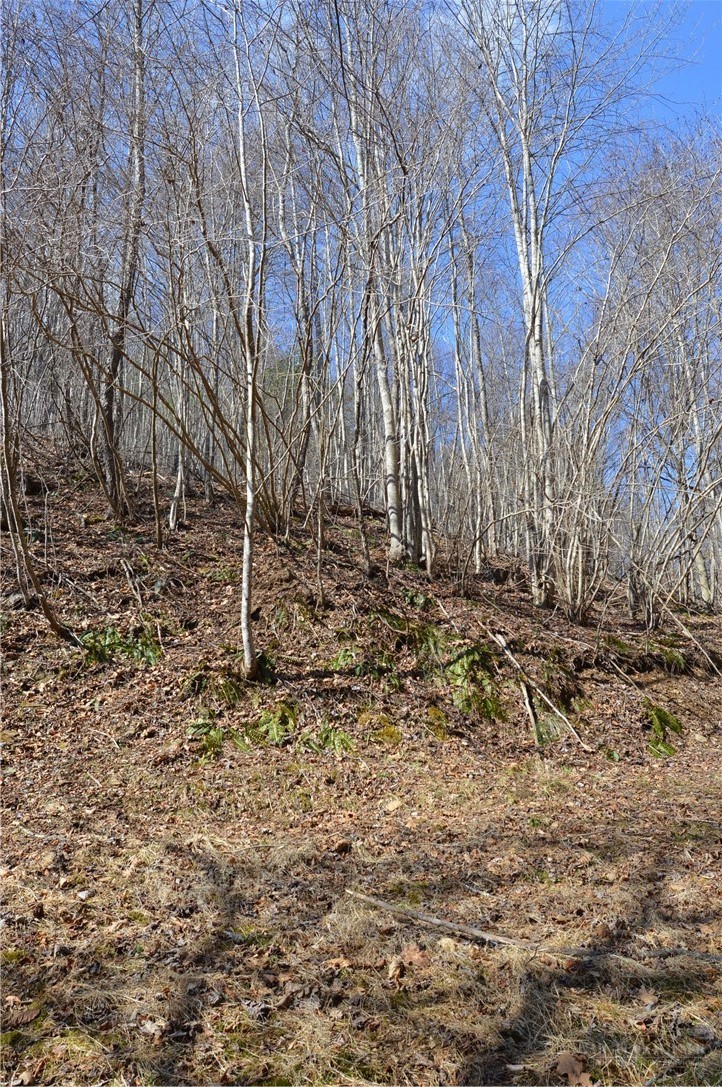 1617 Pot Rock Road Galax, VA 24333 - Photo 38 of 50 Gallery Image 38