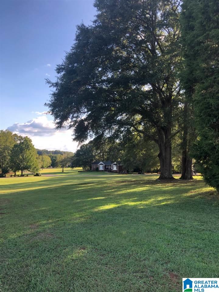 Lot 3 Carleton Point Lane, Unit 3 Wilsonville, AL 35186 - Photo 1 of 3