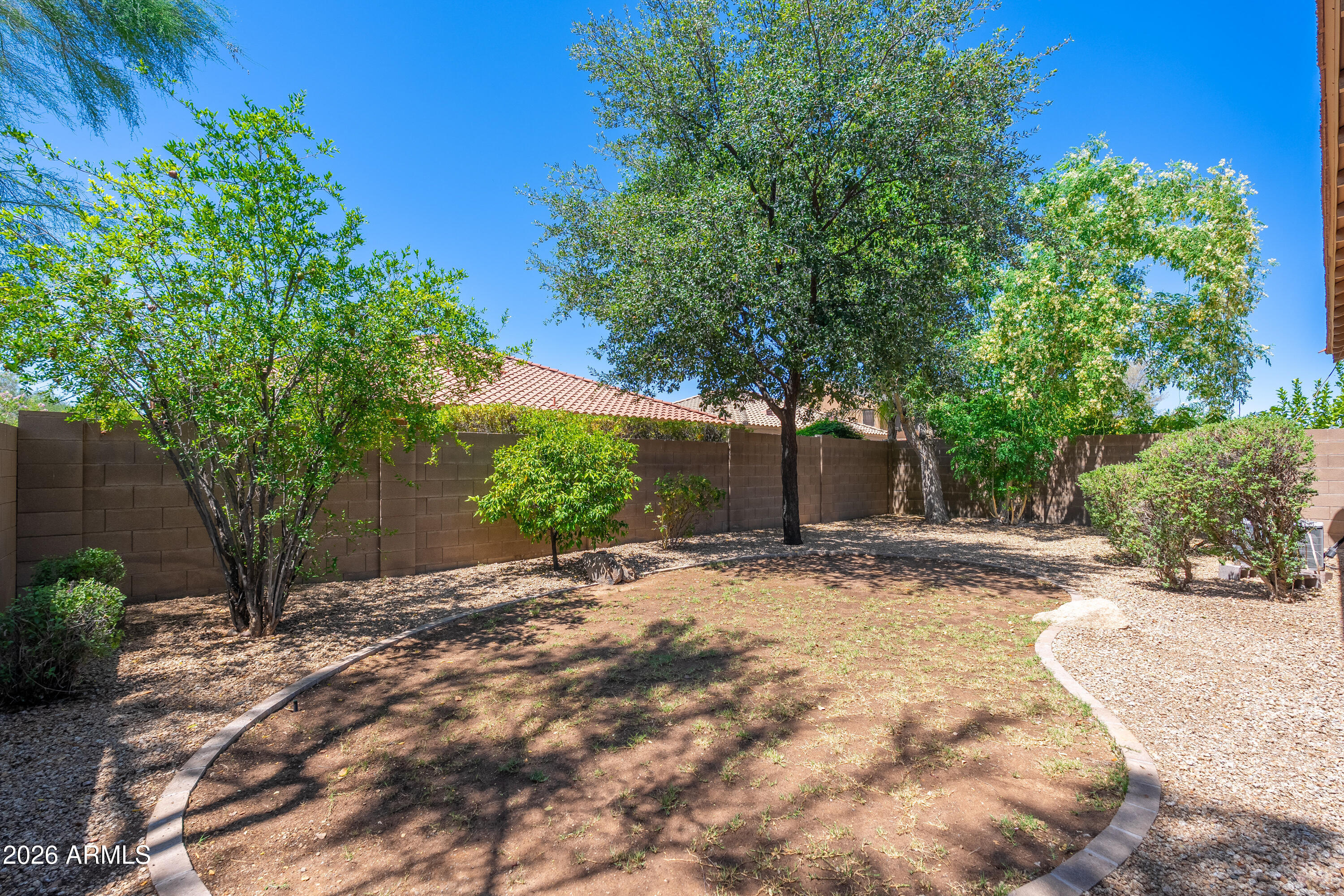 4317 East Folgers Road Phoenix, AZ 85050 - Photo 26 of 40 a view of a yard with plants and trees