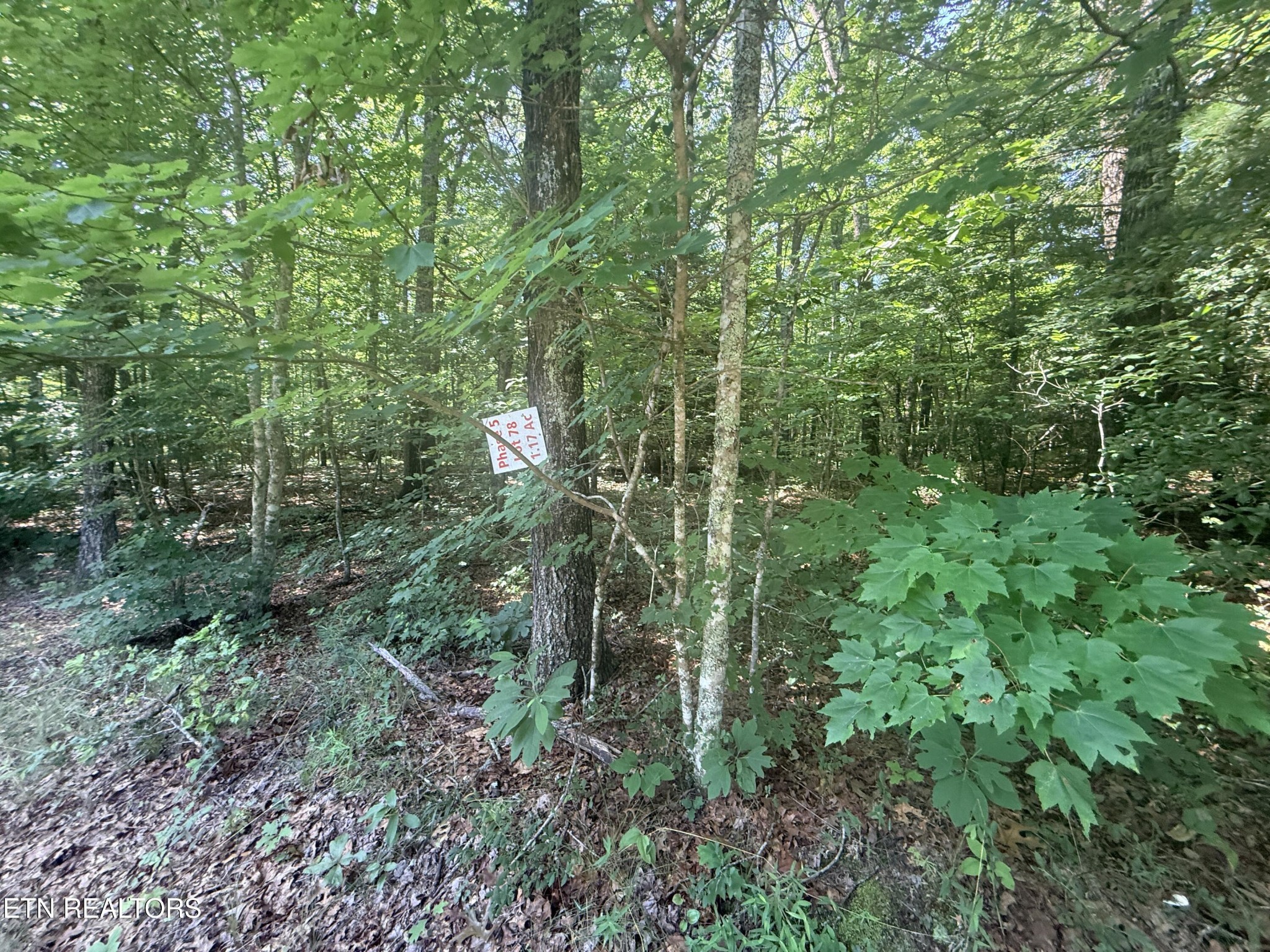 390 Georgee Road Jamestown, TN 38556 - Photo 14 of 14 Gallery Image 14