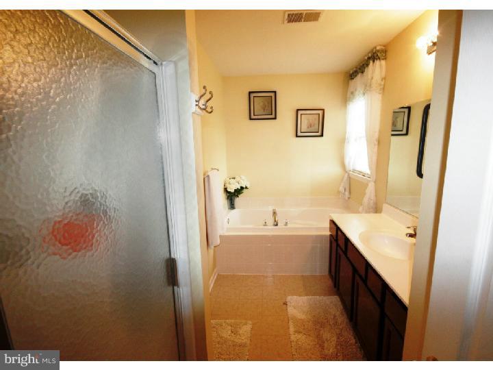 16 Bishop Pine Road Barto, PA 19504 - Photo 10 of 16 Master Bathroom