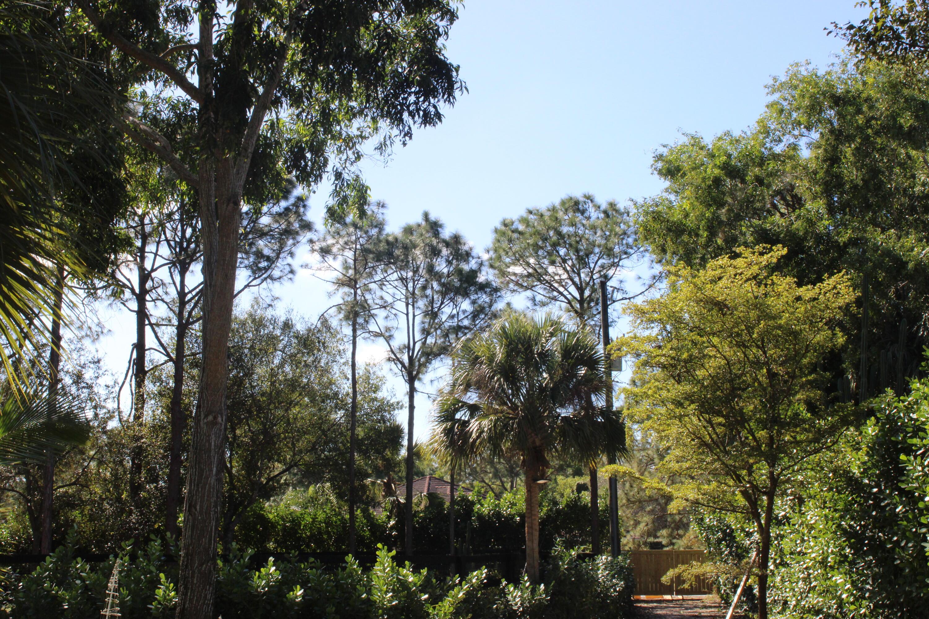 930 Rambling Dr Circle Wellington, FL 33414 - Photo 19 of 31 IMG_3612