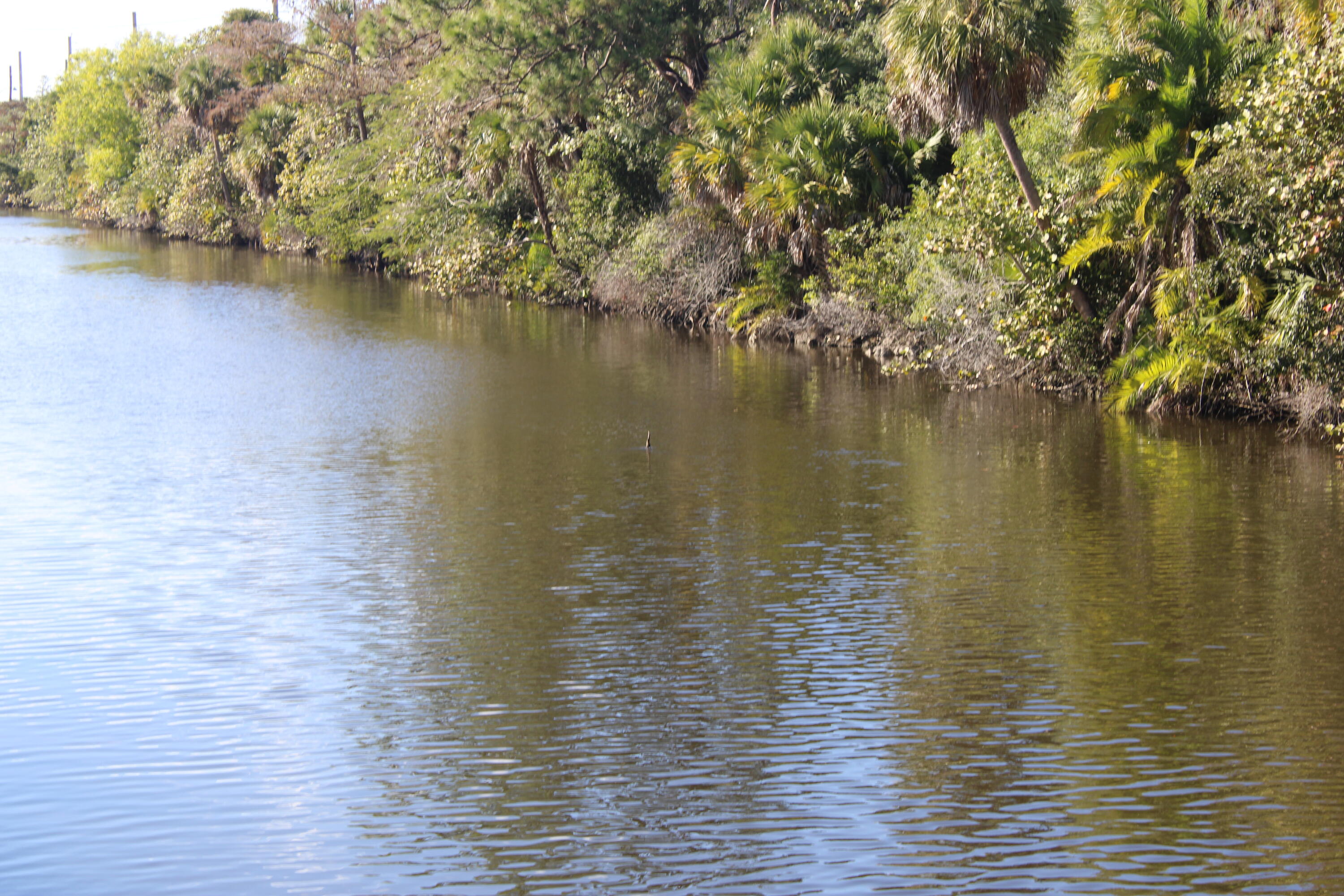 930 Rambling Dr Circle Wellington, FL 33414 - Photo 21 of 31 IMG_3626