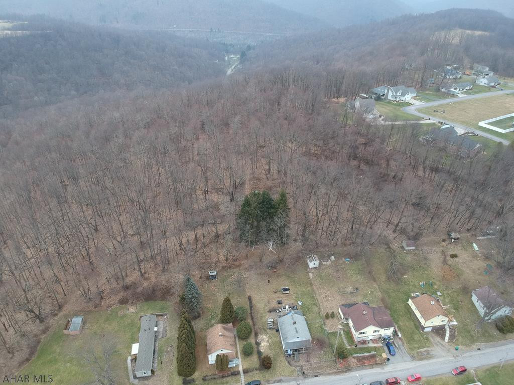 0 Jerome Hill Road Hollsopple, PA 15935 - Photo 7 of 19 Gallery Image 7