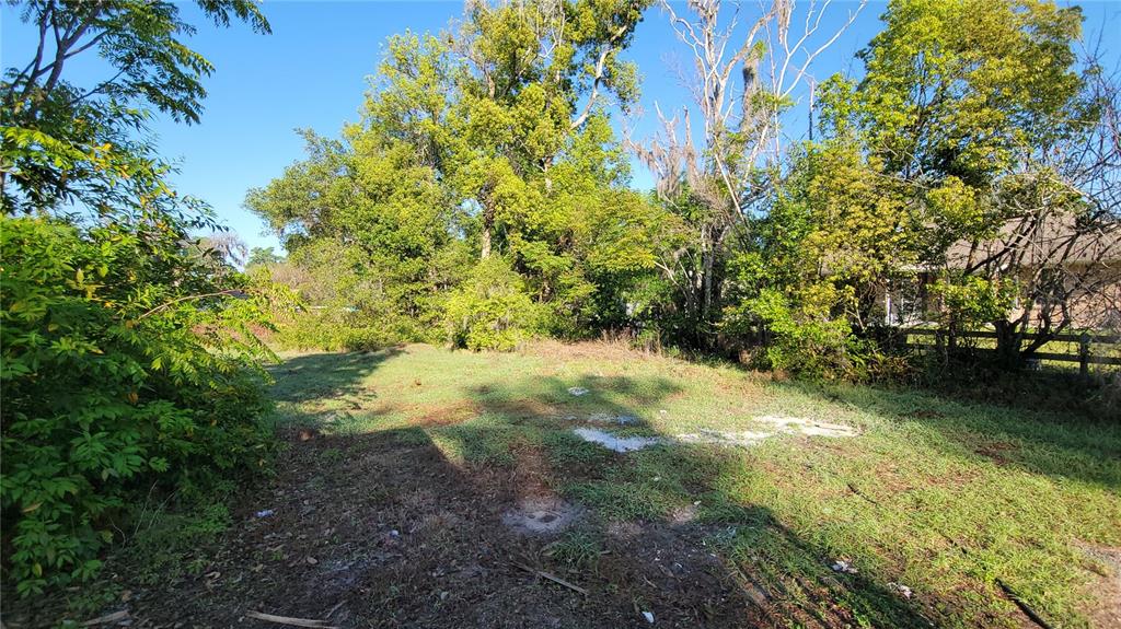 Property Location Island DeLand, FL 32724 - Photo 2 of 9 a view of yard with green space