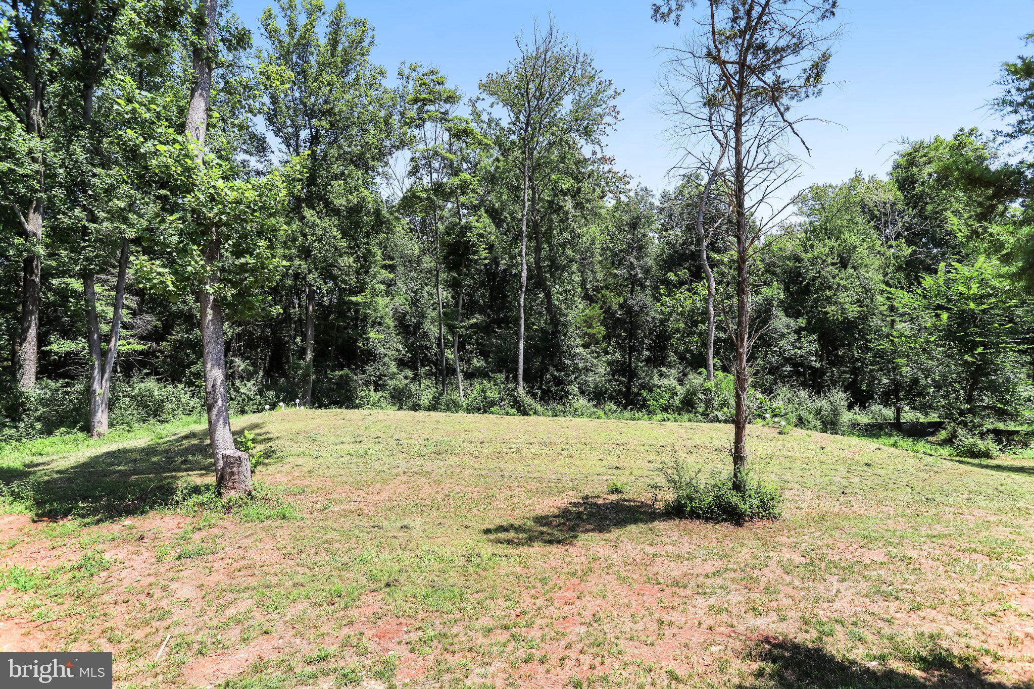 14915 Mount Nebo Road Poolesville, MD 20837 - Photo 32 of 38 Serene wooded retreat awaits you.