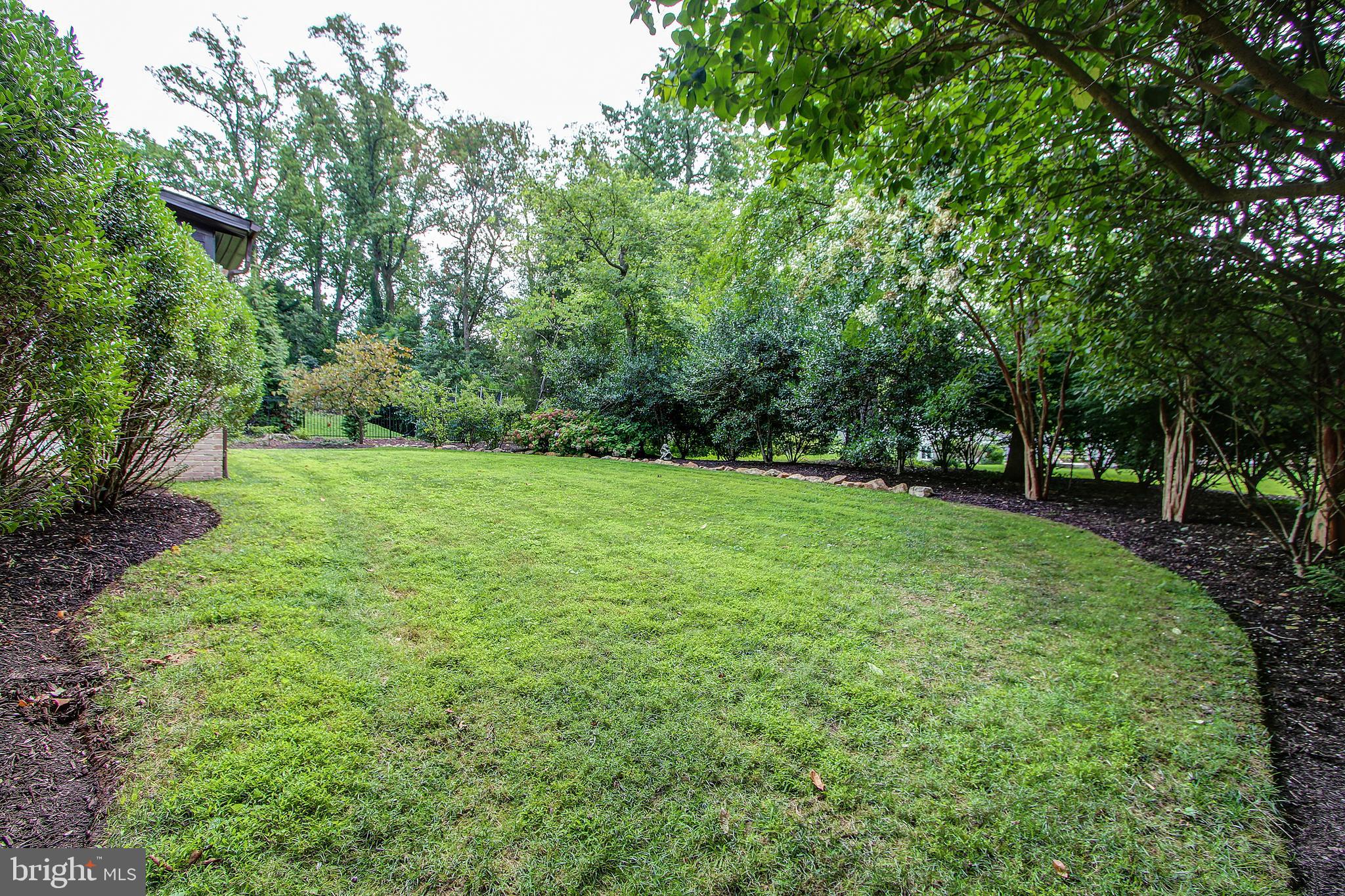 4112 Beverly Road Rockville, MD 20853 - Photo 33 of 37 Backyard