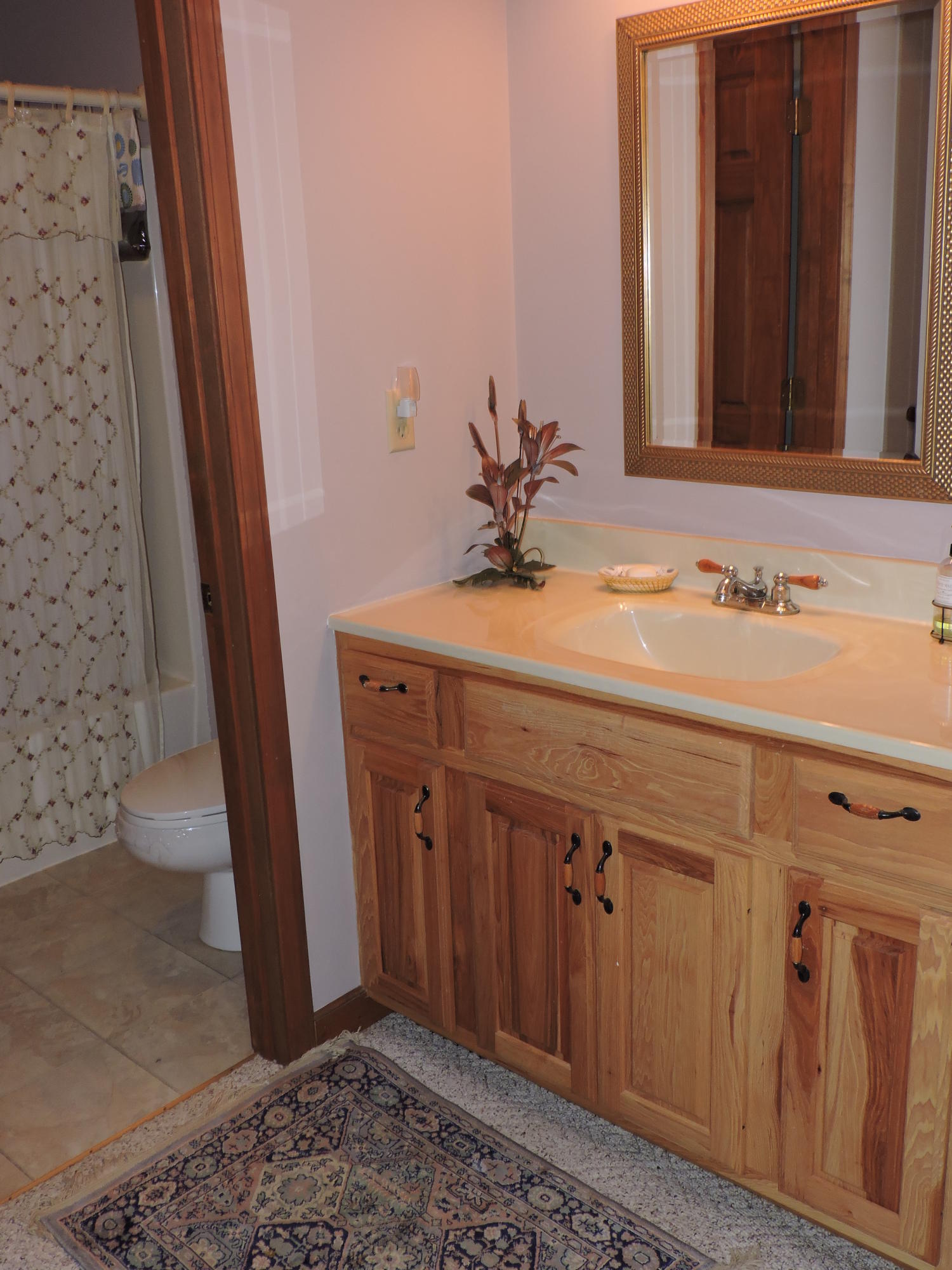 746 Rhea Road Crossville, TN 38555 - Photo 26 of 39 Guest Bath