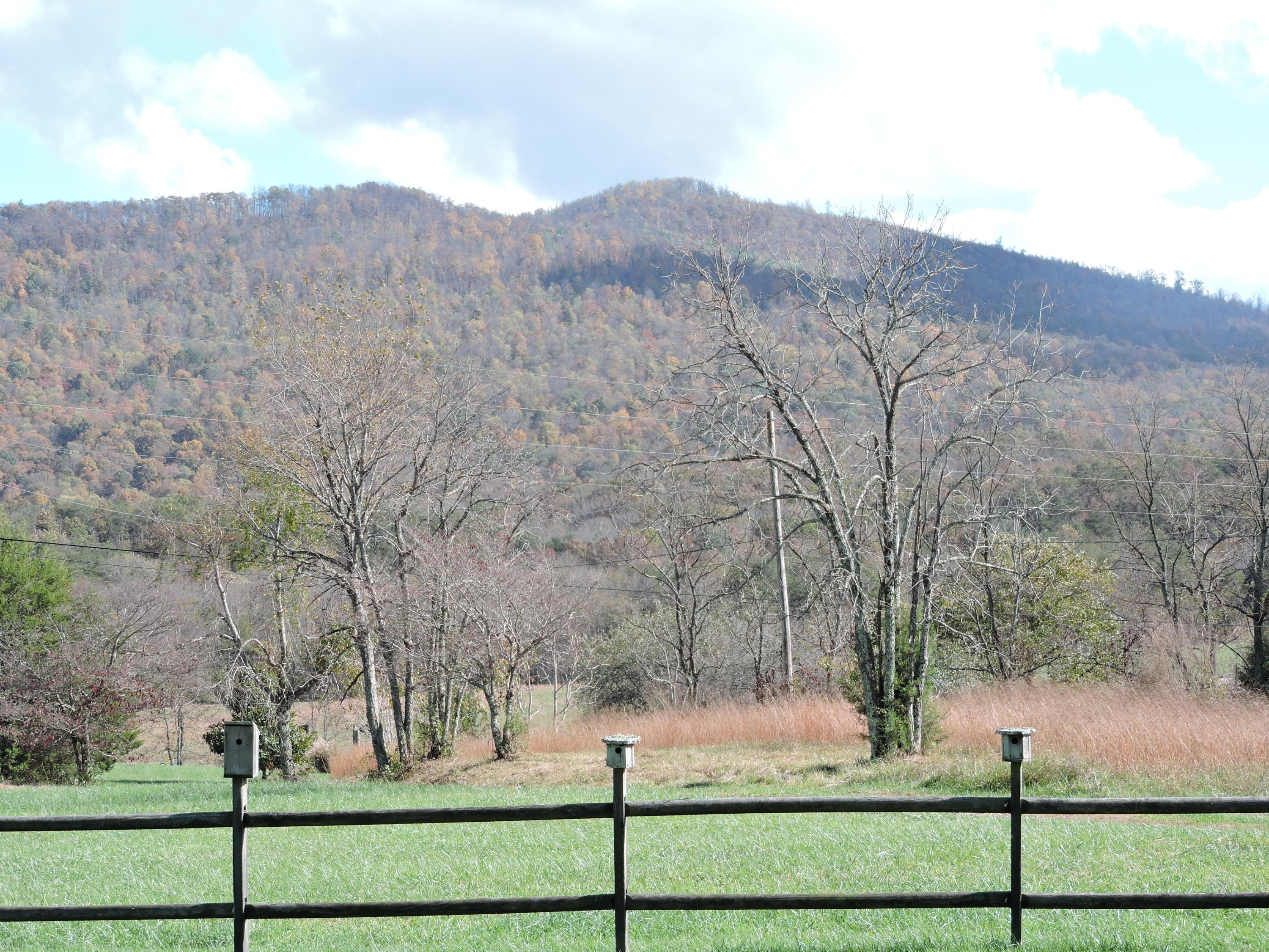 746 Rhea Road Crossville, TN 38555 - Photo 8 of 39 View