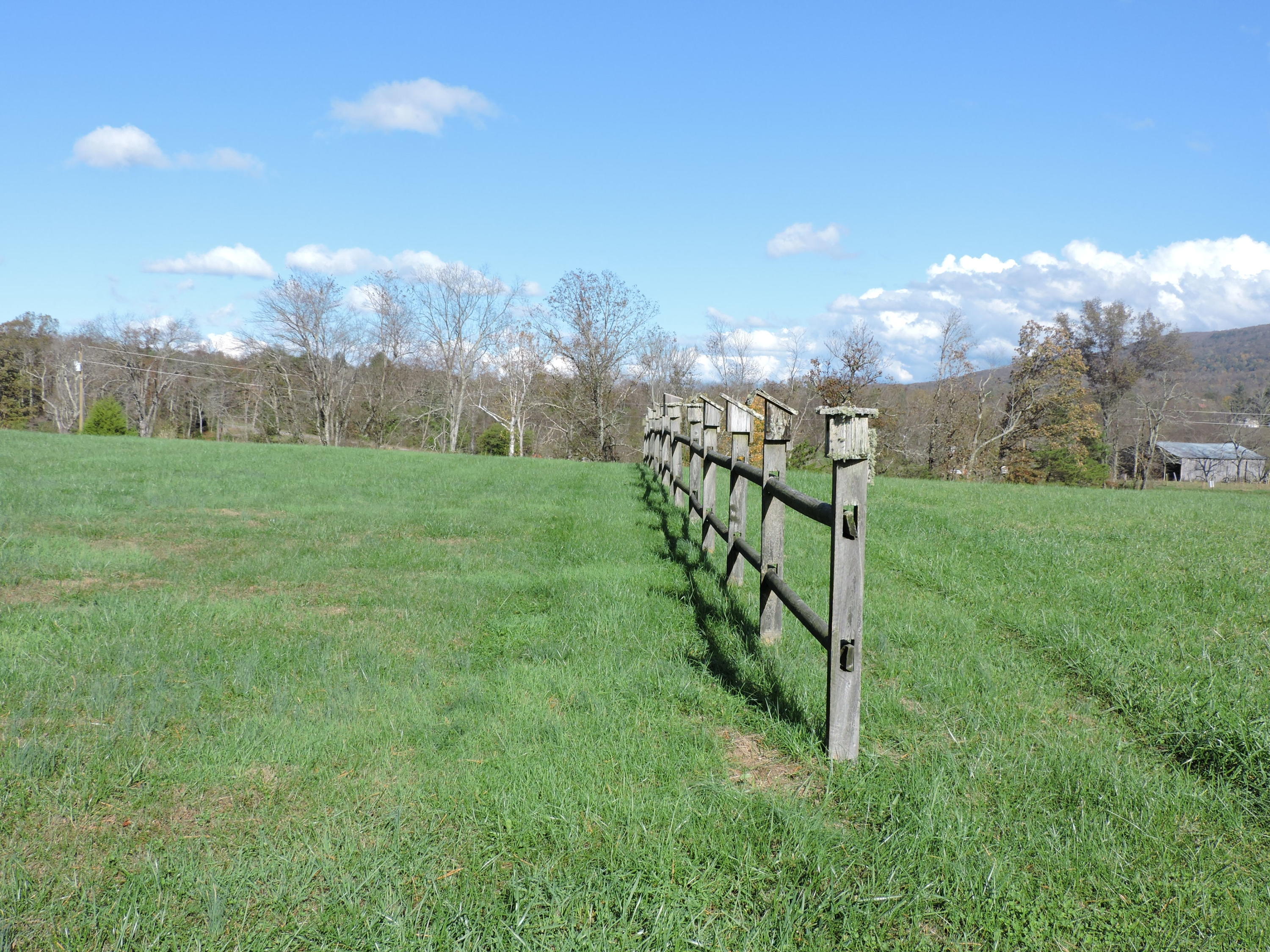 746 Rhea Road Crossville, TN 38555 - Photo 9 of 39 Fence