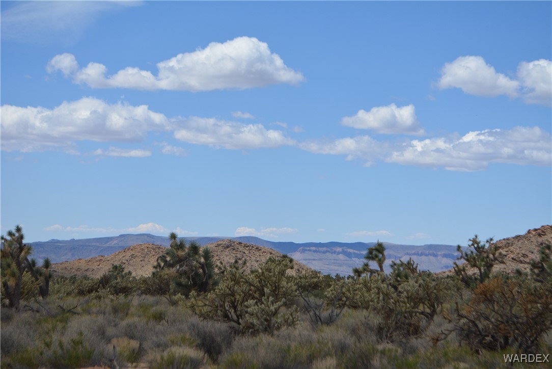 11900 Alan Road Yucca, AZ 86438 - Photo 69 of 99 Gallery Image 69