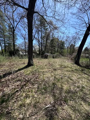 a view of a yard with a tree