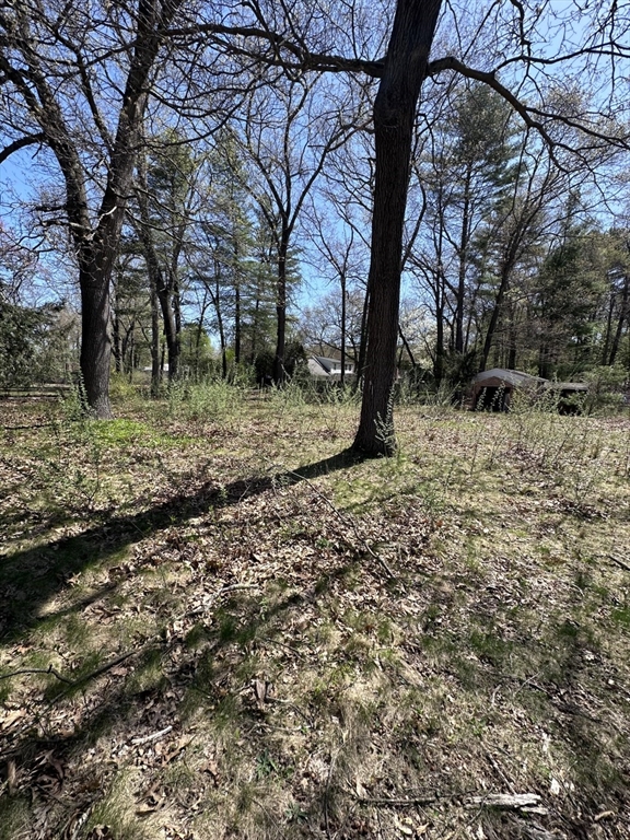 514 Dewey Street West Springfield, MA 01089 - Photo 13 of 13 a view of a yard with a tree