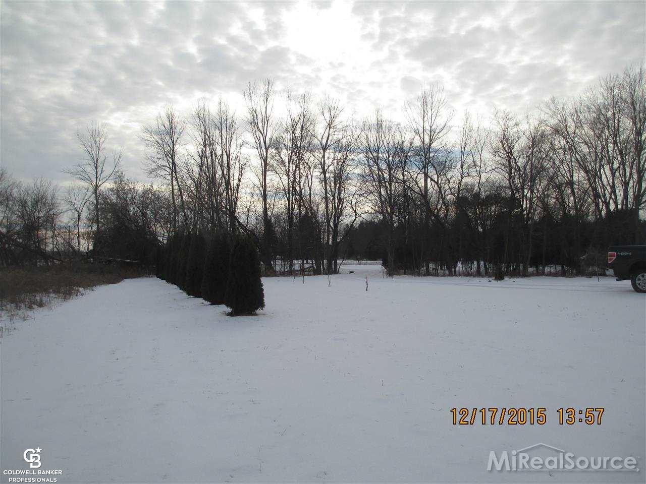 10771 East Burt Road Birch Run, MI 48415 - Photo 9 of 28