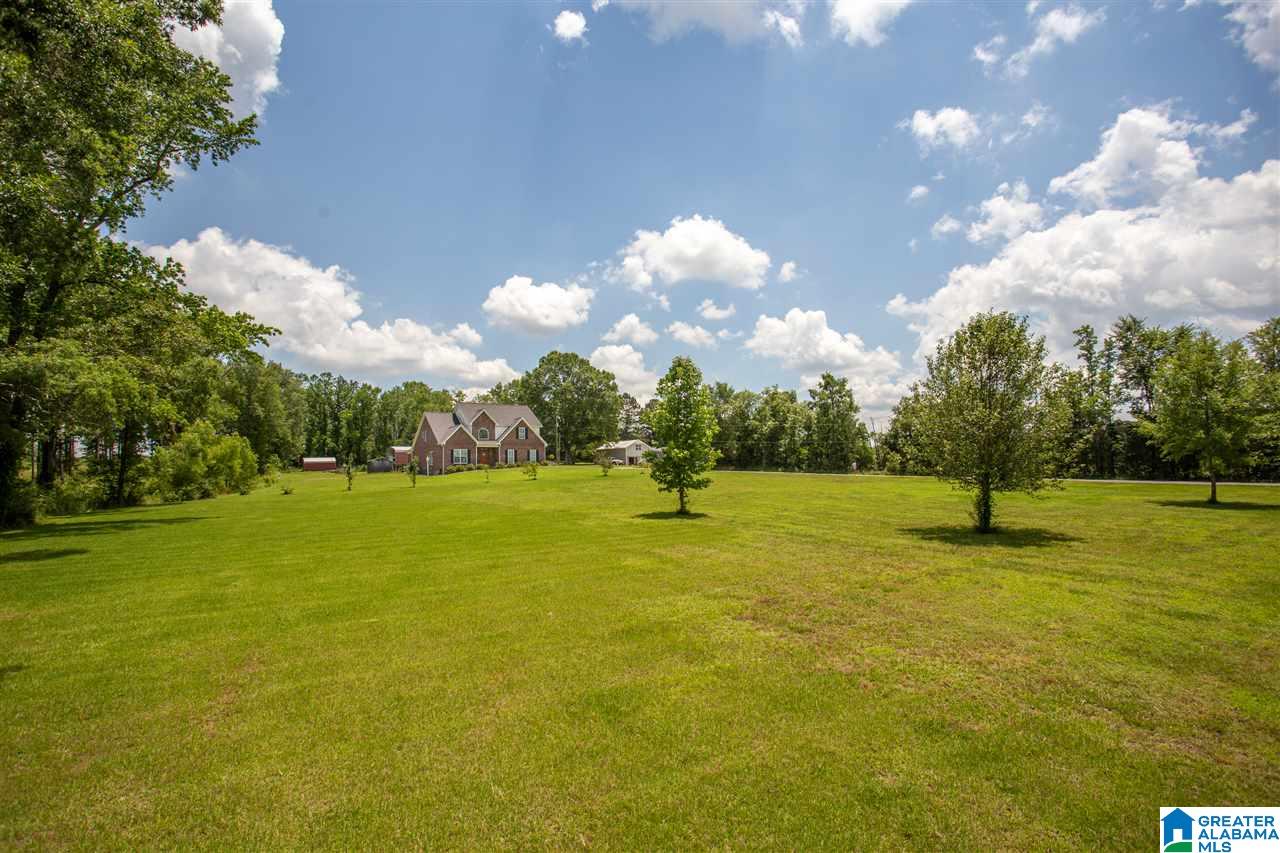 286 Brutonville Road Jacksonville, AL 36265 - Photo 47 of 50 Gallery Image 47
